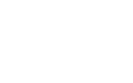 Stepping With The Stars